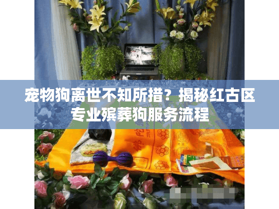 宠物狗离世不知所措？揭秘红古区专业殡葬狗服务流程