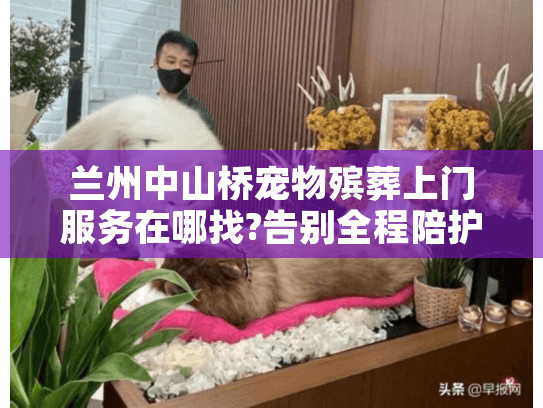 兰州中山桥宠物殡葬上门服务在哪找?告别全程陪护指南