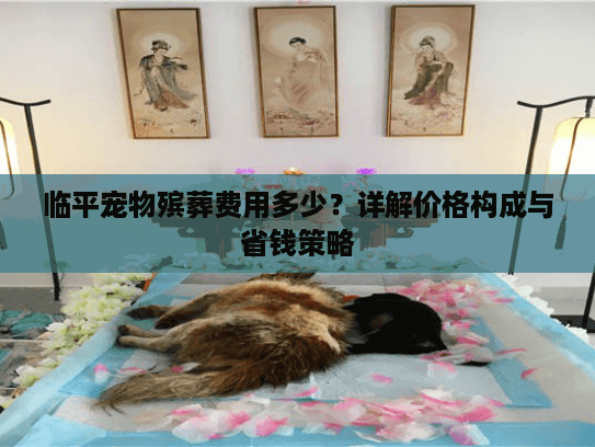 临平宠物殡葬费用多少？详解价格构成与省钱策略