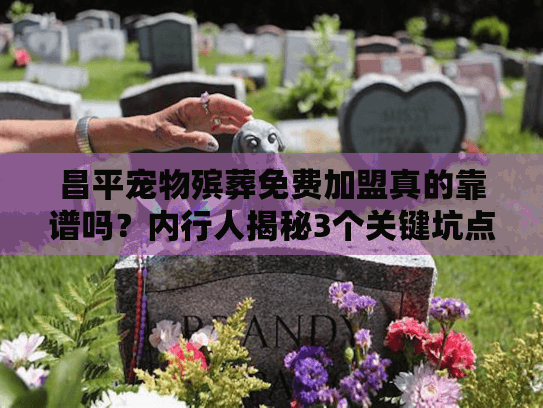 昌平宠物殡葬免费加盟真的靠谱吗？内行人揭秘3个关键坑点+1个实战案例