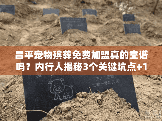 昌平宠物殡葬免费加盟真的靠谱吗？内行人揭秘3个关键坑点+1个实战案例
