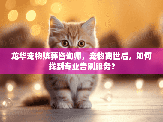 龙华宠物殡葬咨询师，宠物离世后，如何找到专业告别服务？