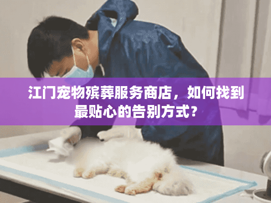 江门宠物殡葬服务商店，如何找到最贴心的告别方式？