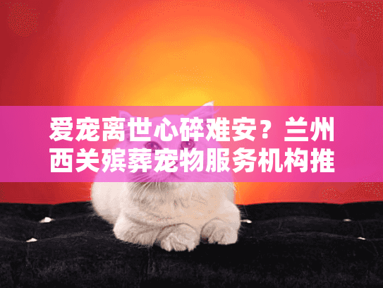 爱宠离世心碎难安？兰州西关殡葬宠物服务机构推荐