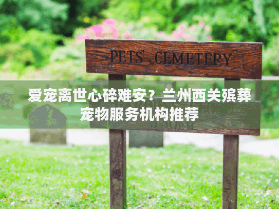爱宠离世心碎难安？兰州西关殡葬宠物服务机构推荐