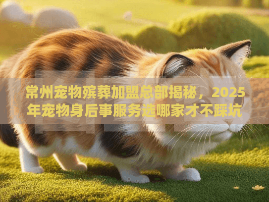 常州宠物殡葬加盟总部揭秘，2025年宠物身后事服务选哪家才不踩坑？