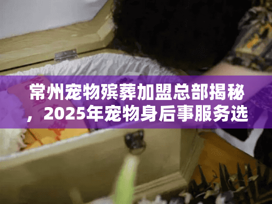常州宠物殡葬加盟总部揭秘，2025年宠物身后事服务选哪家才不踩坑？