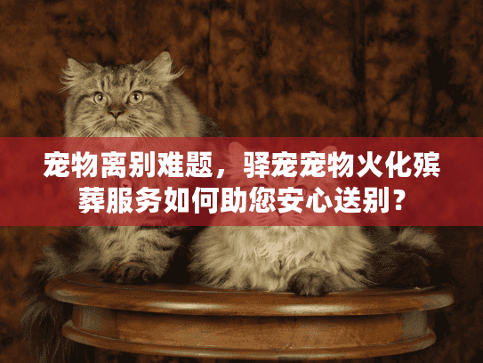 宠物离别难题，驿宠宠物火化殡葬服务如何助您安心送别？