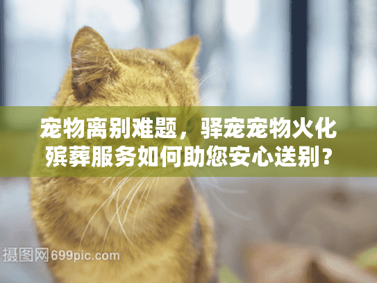 宠物离别难题，驿宠宠物火化殡葬服务如何助您安心送别？