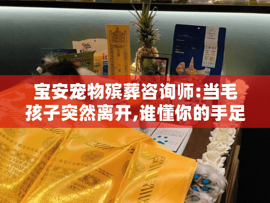 宝安宠物殡葬咨询师:当毛孩子突然离开,谁懂你的手足无措?