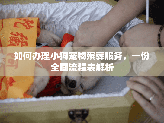 如何办理小狗宠物殡葬服务，一份全面流程表解析
