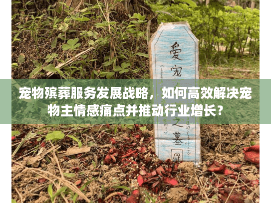 宠物殡葬服务发展战略，如何高效解决宠物主情感痛点并推动行业增长？