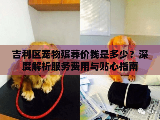 吉利区宠物殡葬价钱是多少？深度解析服务费用与贴心指南
