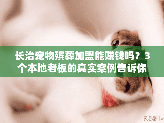 长治宠物殡葬加盟能赚钱吗？3个本地老板的真实案例告诉你答案