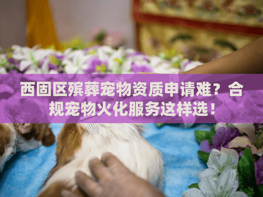 西固区殡葬宠物资质申请难？合规宠物火化服务这样选！