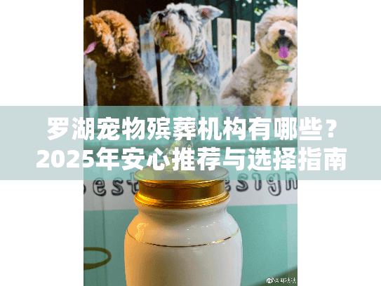 罗湖宠物殡葬机构有哪些？2025年安心推荐与选择指南
