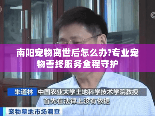 南阳宠物离世后怎么办?专业宠物善终服务全程守护