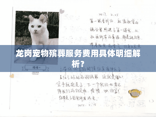 龙岗宠物殡葬服务费用具体明细解析？