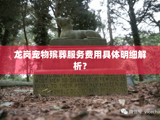 龙岗宠物殡葬服务费用具体明细解析？