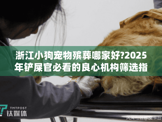 浙江小狗宠物殡葬哪家好?2025年铲屎官必看的良心机构筛选指南