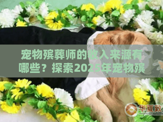 宠物殡葬师的收入来源有哪些？探索2025年宠物殡葬服务费用趋势