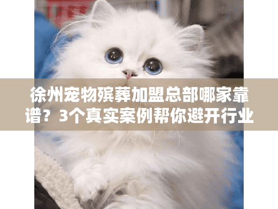 徐州宠物殡葬加盟总部哪家靠谱？3个真实案例帮你避开行业陷阱