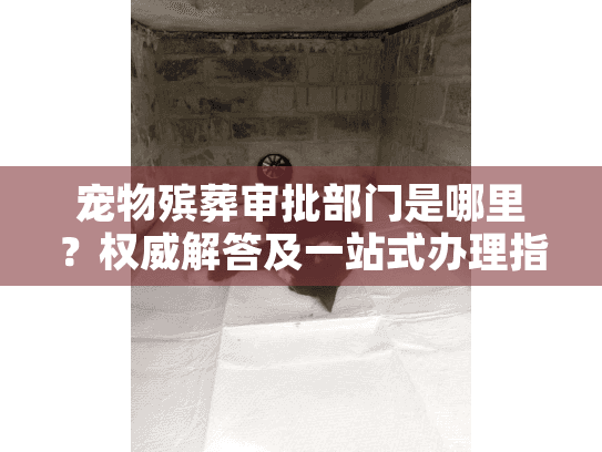 宠物殡葬审批部门是哪里？权威解答及一站式办理指南