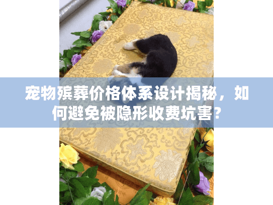 宠物殡葬价格体系设计揭秘，如何避免被隐形收费坑害？