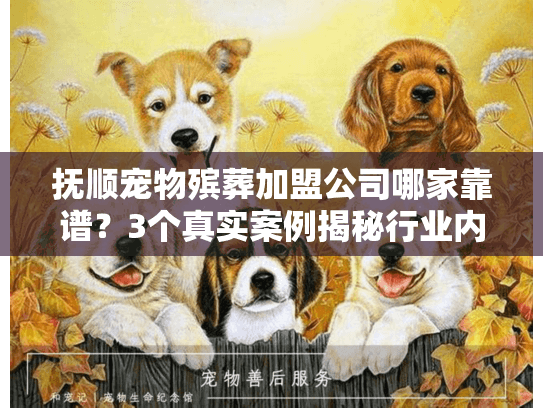 抚顺宠物殡葬加盟公司哪家靠谱？3个真实案例揭秘行业内幕与选择技巧