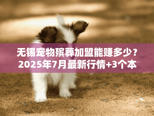 无锡宠物殡葬加盟能赚多少？2025年7月最新行情+3个本地开店案例拆解