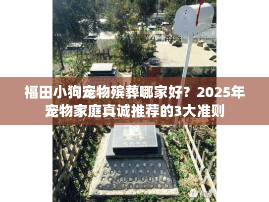 福田小狗宠物殡葬哪家好？2025年宠物家庭真诚推荐的3大准则