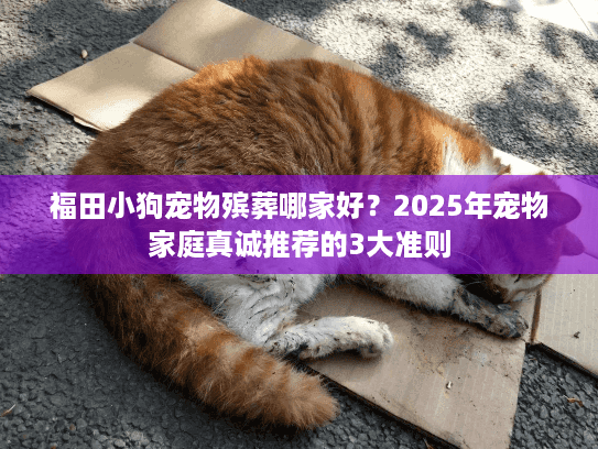 福田小狗宠物殡葬哪家好？2025年宠物家庭真诚推荐的3大准则
