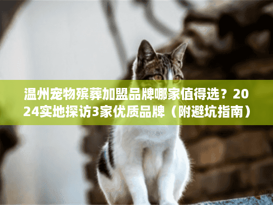 温州宠物殡葬加盟品牌哪家值得选？2024实地探访3家优质品牌（附避坑指南）