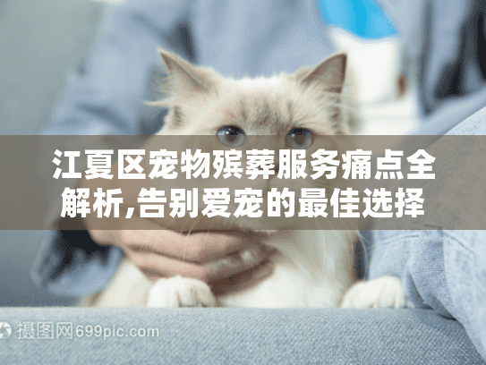江夏区宠物殡葬服务痛点全解析,告别爱宠的最佳选择