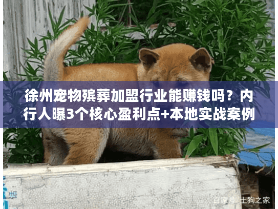 徐州宠物殡葬加盟行业能赚钱吗？内行人曝3个核心盈利点+本地实战案例