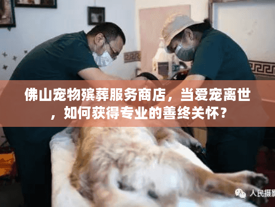 佛山宠物殡葬服务商店，当爱宠离世，如何获得专业的善终关怀？