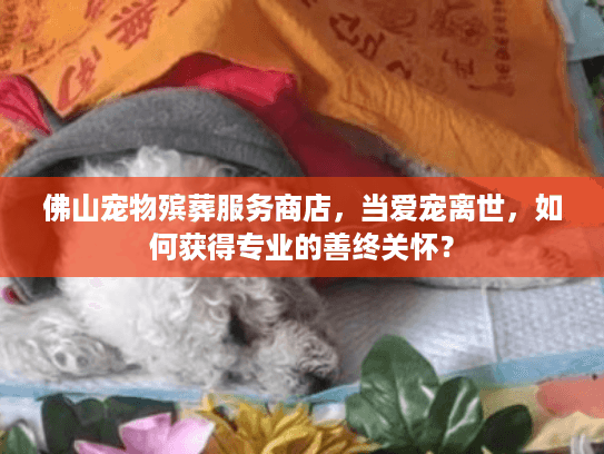 佛山宠物殡葬服务商店，当爱宠离世，如何获得专业的善终关怀？