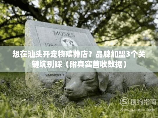 想在汕头开宠物殡葬店？品牌加盟3个关键坑别踩（附真实营收数据）