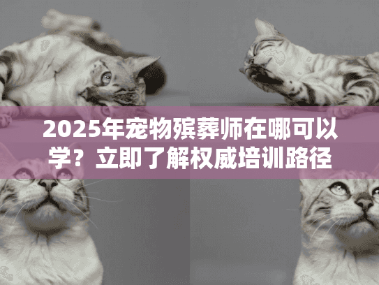 2025年宠物殡葬师在哪可以学？立即了解权威培训路径