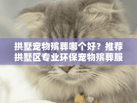 拱墅宠物殡葬哪个好？推荐拱墅区专业环保宠物殡葬服务