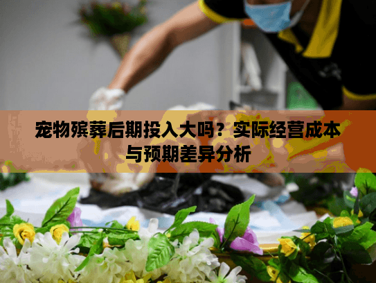 宠物殡葬后期投入大吗？实际经营成本与预期差异分析