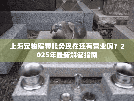 上海宠物殡葬服务现在还有营业吗？2025年最新解答指南