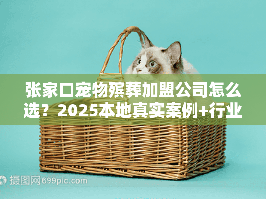 张家口宠物殡葬加盟公司怎么选？2025本地真实案例+行业内行人揭秘