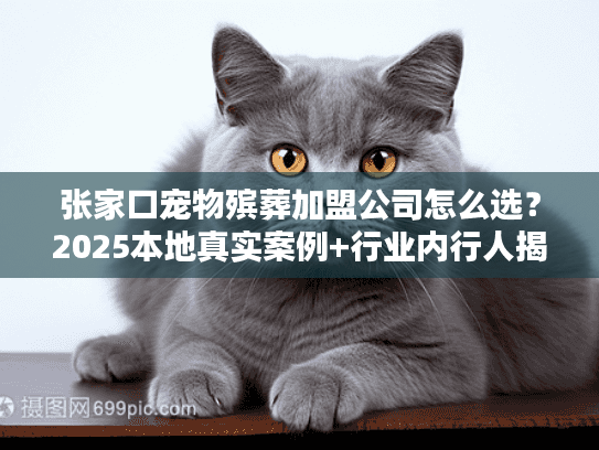 张家口宠物殡葬加盟公司怎么选？2025本地真实案例+行业内行人揭秘