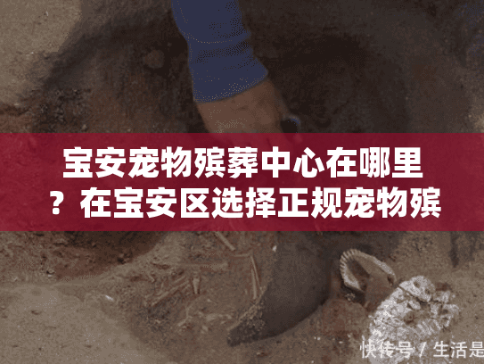 宝安宠物殡葬中心在哪里？在宝安区选择正规宠物殡葬服务的完整指南