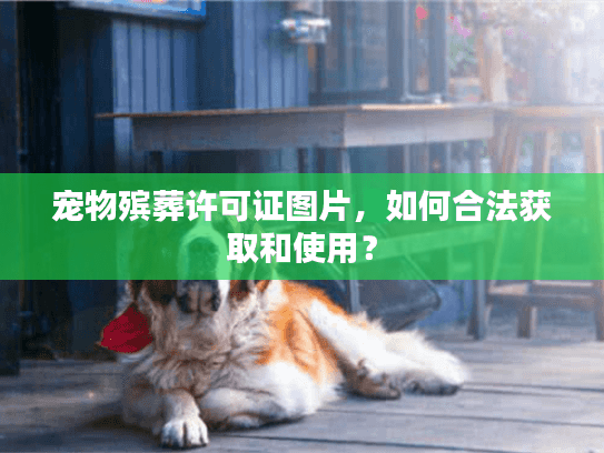 宠物殡葬许可证图片，如何合法获取和使用？