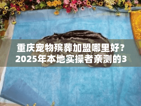 重庆宠物殡葬加盟哪里好？2025年本地实操者亲测的3个优质方向
