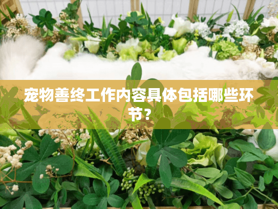 宠物善终工作内容具体包括哪些环节？
