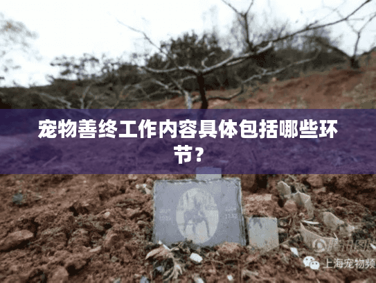 宠物善终工作内容具体包括哪些环节?