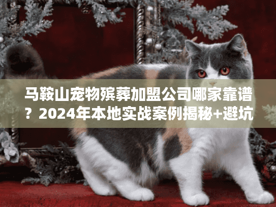 马鞍山宠物殡葬加盟公司哪家靠谱？2024年本地实战案例揭秘+避坑攻略